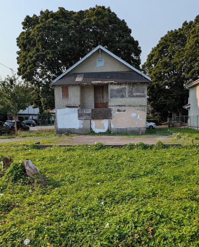 abandoned looking house in a weedy lot with trees behind