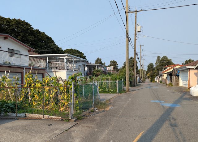 Looking down a back street between houses with gardens and patios and power lines overhead