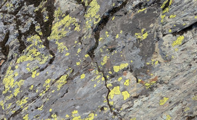 Rocks with bright patches of green lichen and dried moss in the cracks