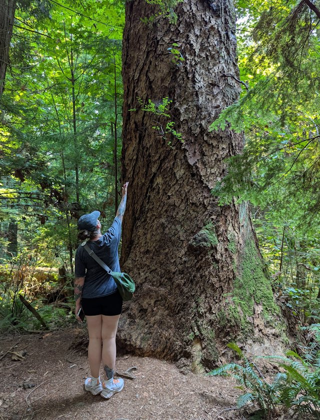 Stacey gestures up at a huckleberry growing out of the bark of a tree