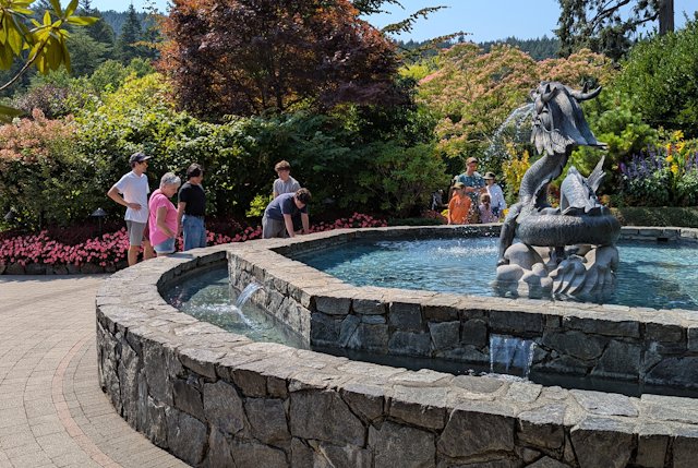 people at the dragon fountain one looking down perhaps thinking about all the coins