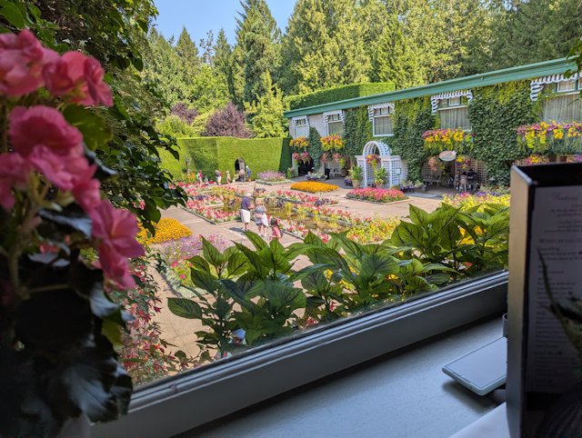 View of the square from our window where we had high tea