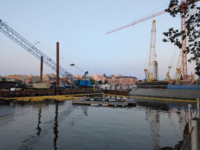 Cranes and reflected in the water with downtown Victoria in the distance