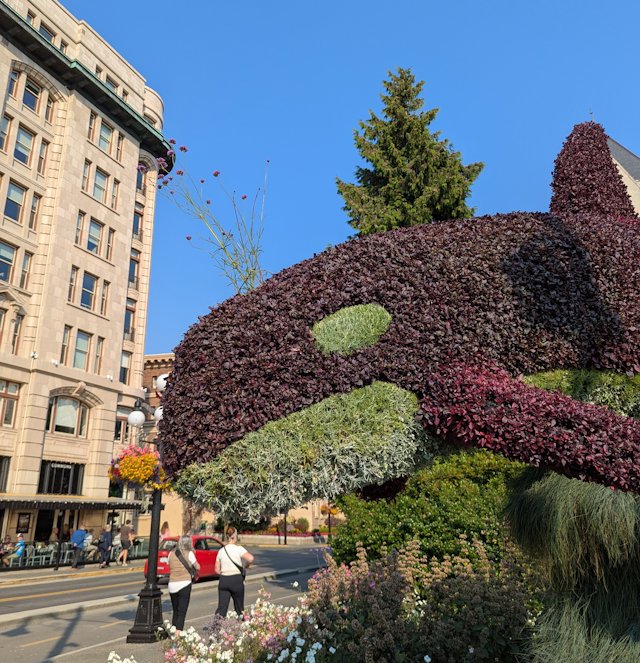 plants trimmed into the shape of an orca with a shoot of flowers from the blowhole