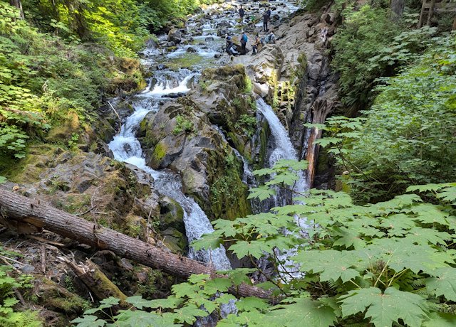 waterfall with vine maples in the foreground