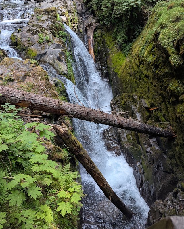 waterfall with moss and fallen trees