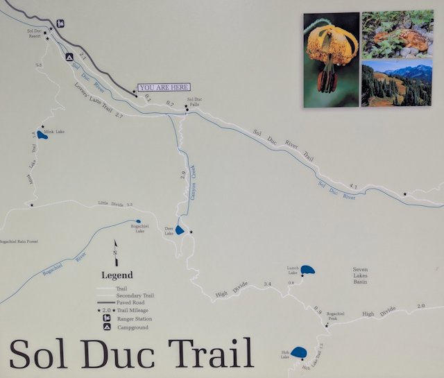 map of sol duc trail