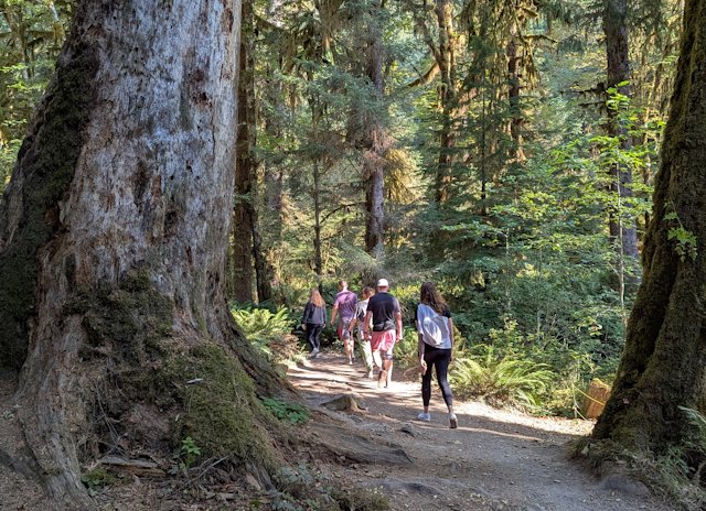 Hiking along the Spruce nature trail