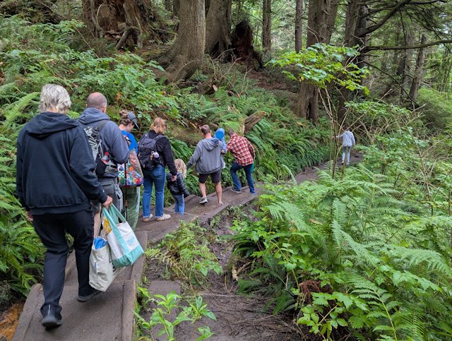 a column of hikers decends the muddy path