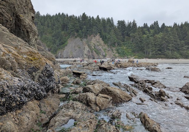 Looking back at the beach from a rocky outcrop